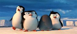 http://upforme.ru/uploads/001a/c8/3c/90/515454.gif