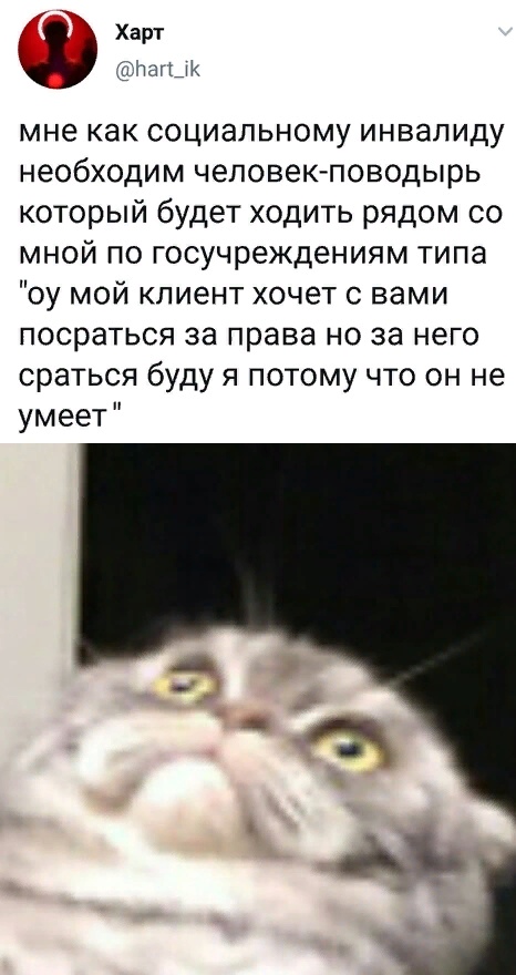 http://upforme.ru/uploads/001a/c9/03/23/730892.jpg