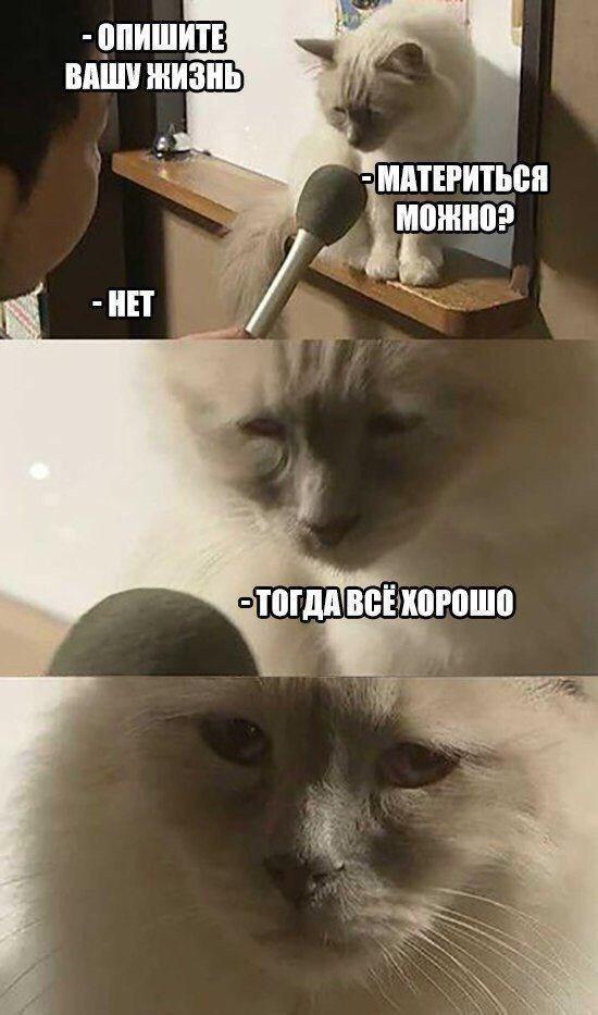 http://upforme.ru/uploads/001a/c9/03/3/582179.jpg