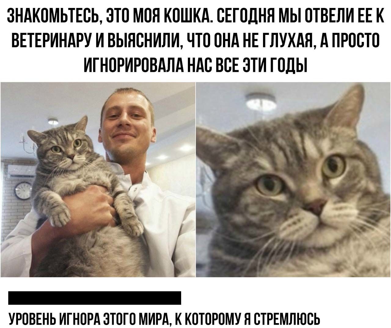 http://upforme.ru/uploads/001a/c9/03/3/798424.jpg