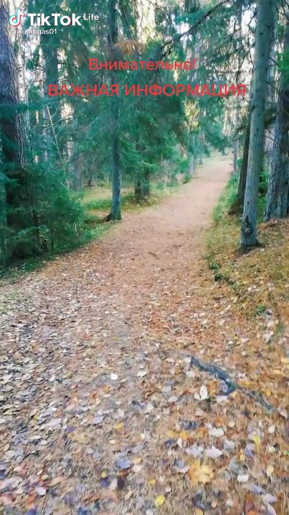 http://upforme.ru/uploads/001a/cb/5f/2/238931.jpg