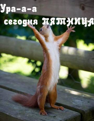 http://upforme.ru/uploads/001a/cb/5f/2/t365490.jpg