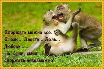 http://upforme.ru/uploads/001a/cb/5f/2/t885691.jpg