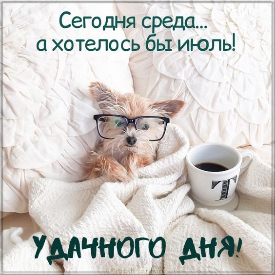http://upforme.ru/uploads/001a/cb/5f/3/96615.jpg