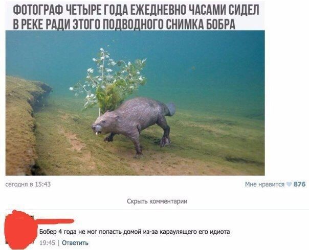 http://upforme.ru/uploads/001a/cb/5f/4/120945.jpg