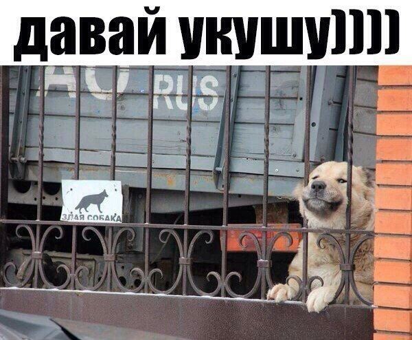 http://upforme.ru/uploads/001a/cb/5f/4/222789.jpg
