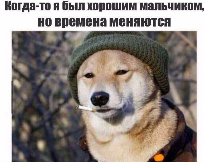http://upforme.ru/uploads/001a/cb/5f/4/306569.jpg