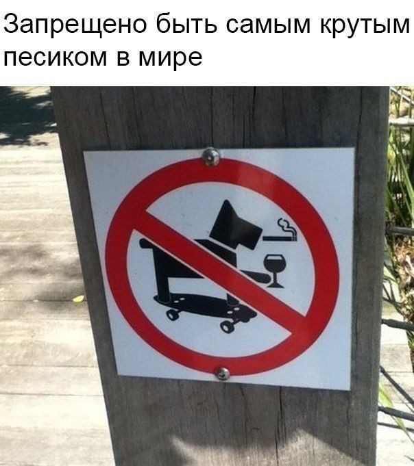 http://upforme.ru/uploads/001a/cb/5f/4/346049.jpg