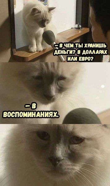 http://upforme.ru/uploads/001a/cb/5f/4/416560.jpg