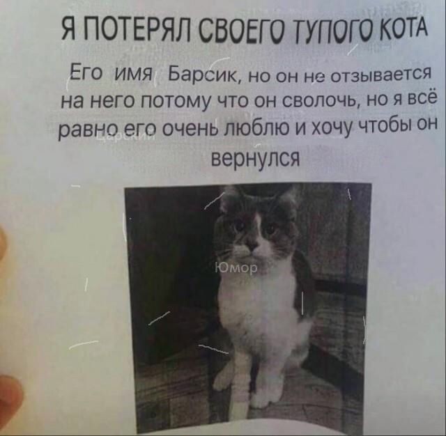 http://upforme.ru/uploads/001a/cb/5f/4/42467.jpg
