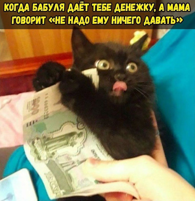 http://upforme.ru/uploads/001a/cb/5f/4/431768.jpg