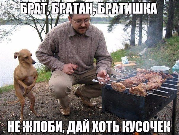 http://upforme.ru/uploads/001a/cb/5f/4/517219.jpg