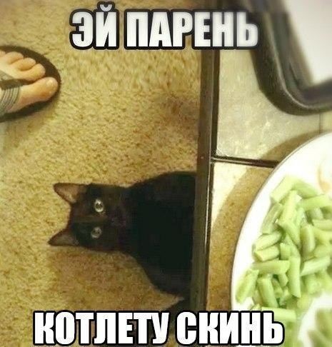 http://upforme.ru/uploads/001a/cb/5f/4/59707.jpg