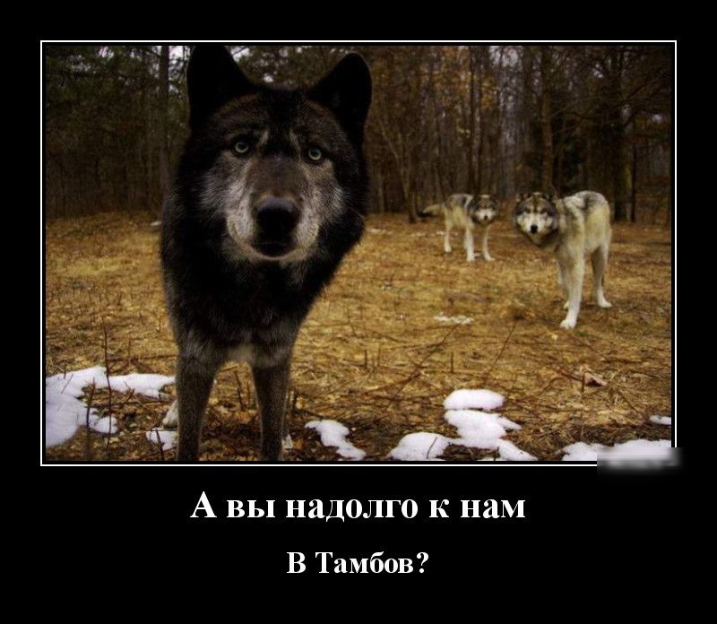 http://upforme.ru/uploads/001a/cb/5f/4/62176.jpg