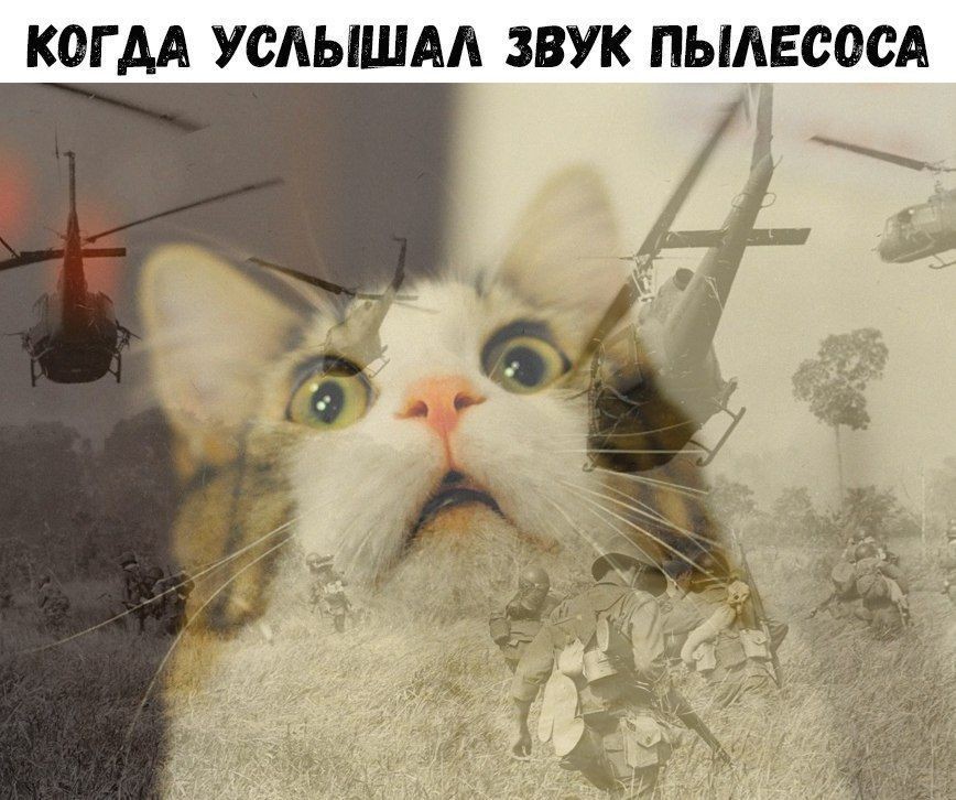 http://upforme.ru/uploads/001a/cb/5f/4/65899.jpg