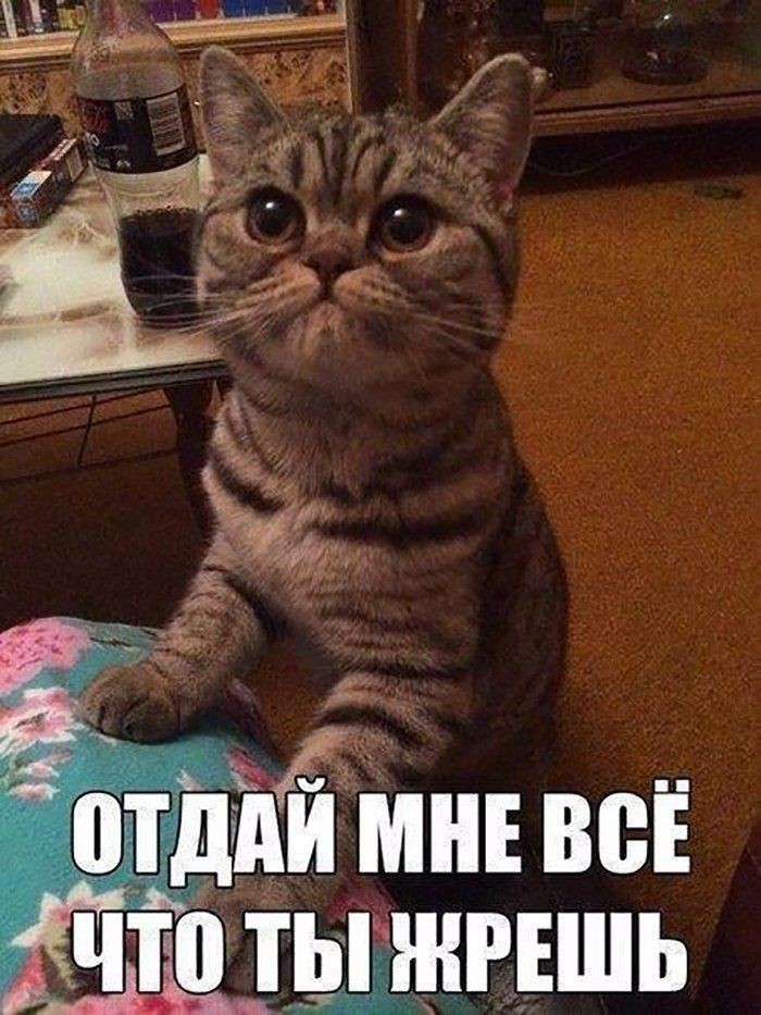 http://upforme.ru/uploads/001a/cb/5f/4/739692.jpg