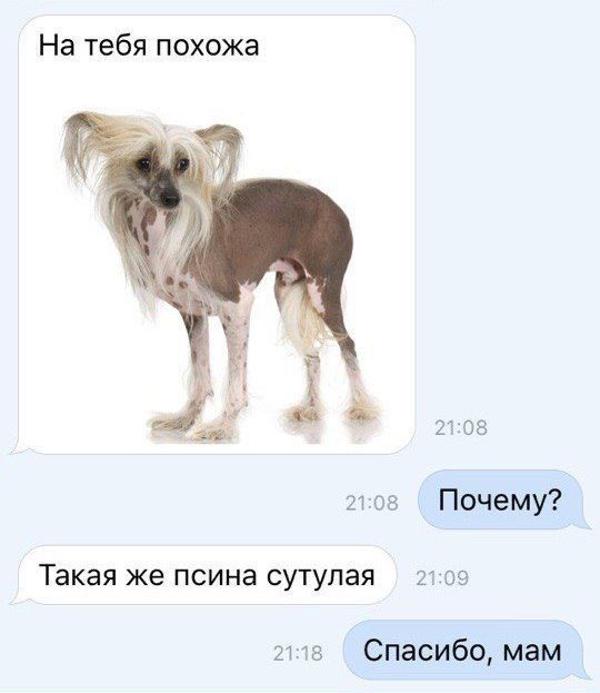 http://upforme.ru/uploads/001a/cb/5f/4/77622.jpg