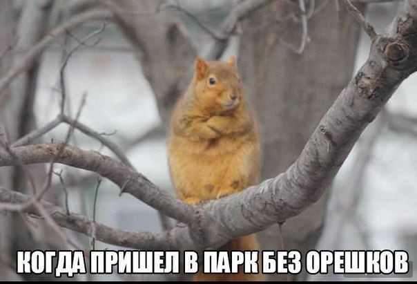 http://upforme.ru/uploads/001a/cb/5f/4/853034.jpg