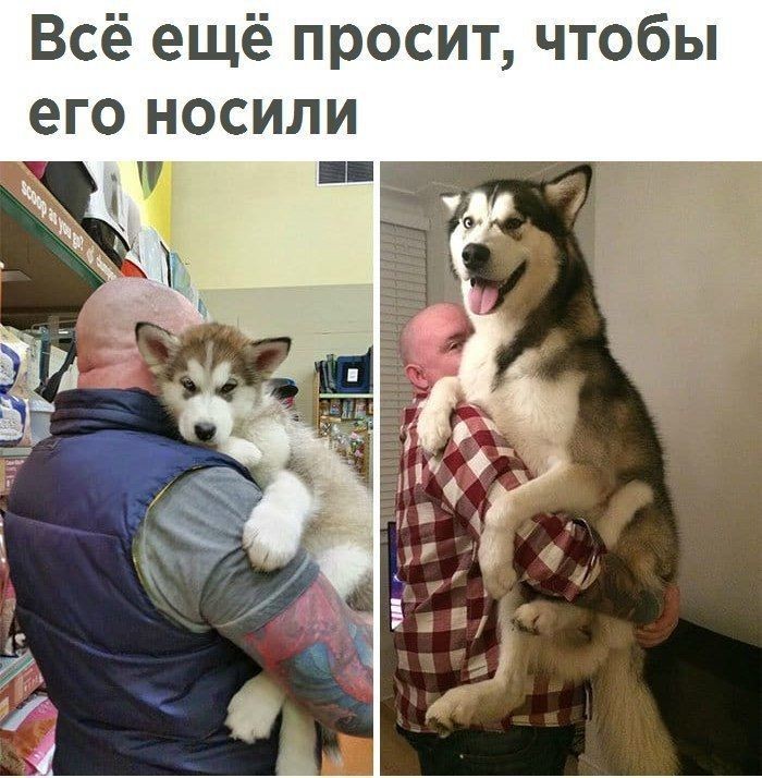http://upforme.ru/uploads/001a/cb/5f/4/861843.jpg
