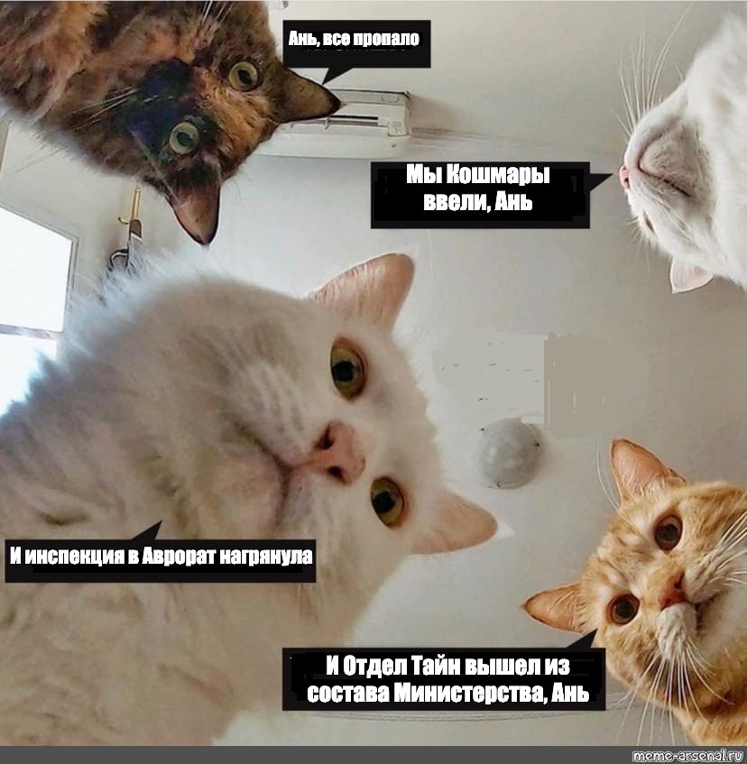 http://upforme.ru/uploads/001a/cc/61/3/254443.jpg