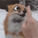 http://upforme.ru/uploads/001a/cc/61/51/311256.gif