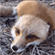 http://upforme.ru/uploads/001a/cc/61/51/476176.gif