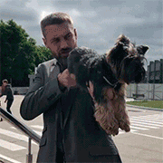 http://upforme.ru/uploads/001a/ce/f5/17/t865132.gif