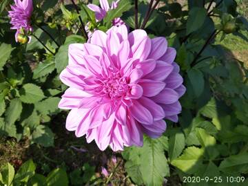 http://upforme.ru/uploads/001a/cf/46/3/t691755.jpg