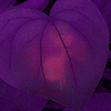http://upforme.ru/uploads/001a/d2/fe/2/t366086.gif