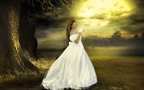 http://upforme.ru/uploads/001a/d3/13/2/t733092.jpg