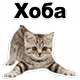 http://upforme.ru/uploads/001a/d5/10/2/459553.png