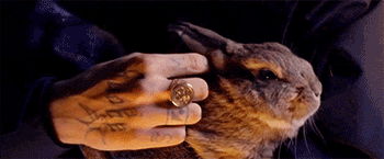 http://upforme.ru/uploads/001a/d7/4b/110/386352.gif