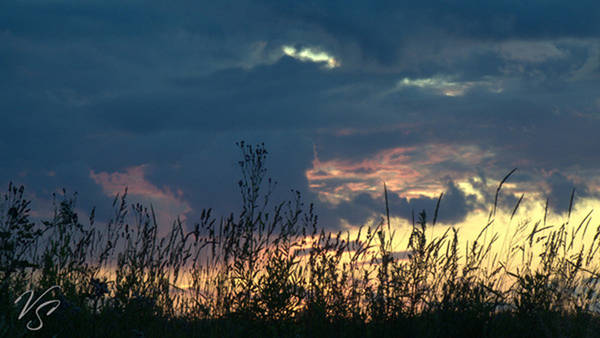 http://upforme.ru/uploads/001a/da/db/2/t554565.jpg