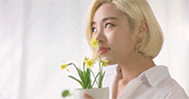 http://upforme.ru/uploads/001a/db/37/51/292019.gif
