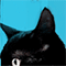http://upforme.ru/uploads/001a/dc/31/60/795715.gif