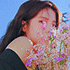 http://upforme.ru/uploads/001a/dc/31/9/228083.gif
