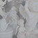 http://upforme.ru/uploads/001a/dc/f9/16/703381.png