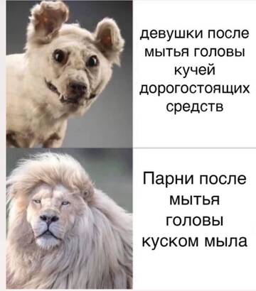 http://upforme.ru/uploads/001a/dd/52/126/t887598.jpg