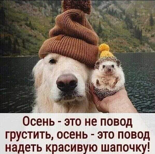 http://upforme.ru/uploads/001a/de/56/16/316884.jpg