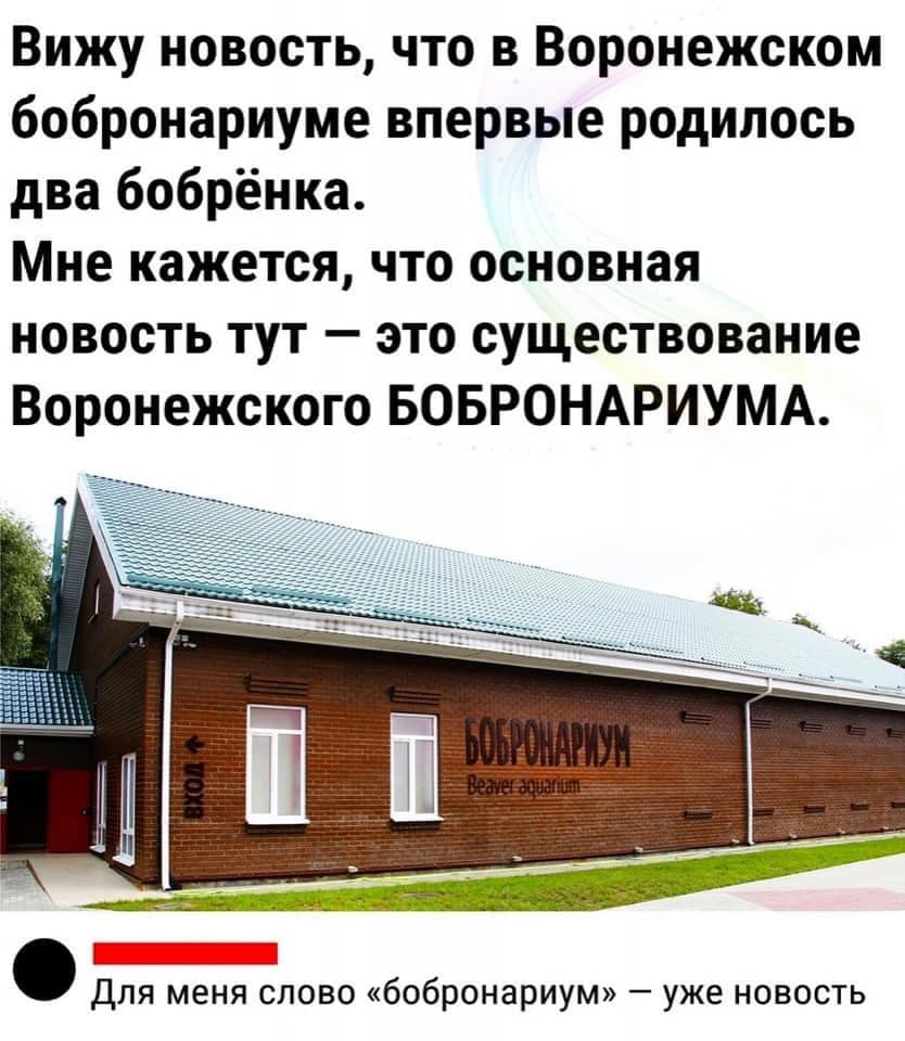 http://upforme.ru/uploads/001a/de/56/16/539220.jpg