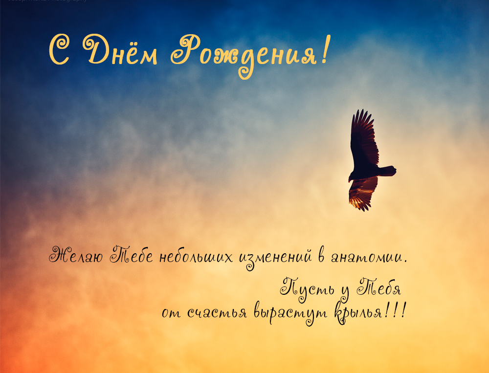 http://upforme.ru/uploads/001a/de/56/50/450869.jpg