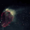 http://upforme.ru/uploads/001a/de/70/17/499380.gif