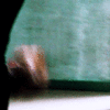 http://upforme.ru/uploads/001a/de/87/2/476591.gif