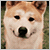 http://upforme.ru/uploads/001a/df/5e/5/17826.gif