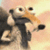 http://upforme.ru/uploads/001a/df/5e/5/503714.gif