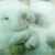 http://upforme.ru/uploads/001a/df/5e/5/725464.gif