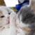 http://upforme.ru/uploads/001a/df/5e/5/906615.gif
