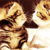 http://upforme.ru/uploads/001a/df/5e/5/92094.gif