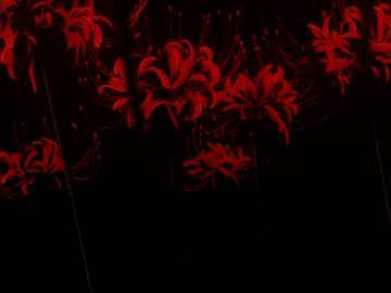 http://upforme.ru/uploads/001a/e0/56/6/t754013.gif