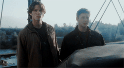 http://upforme.ru/uploads/001a/e1/1b/97/715502.gif